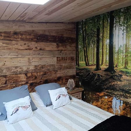 Вілла Le P'Tit Nid : Mini Loft Pour 2 A 4 Personnes Tellin Екстер'єр фото